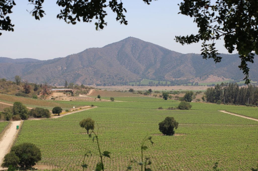 Chile: um roteiro de vinhedos e deserto