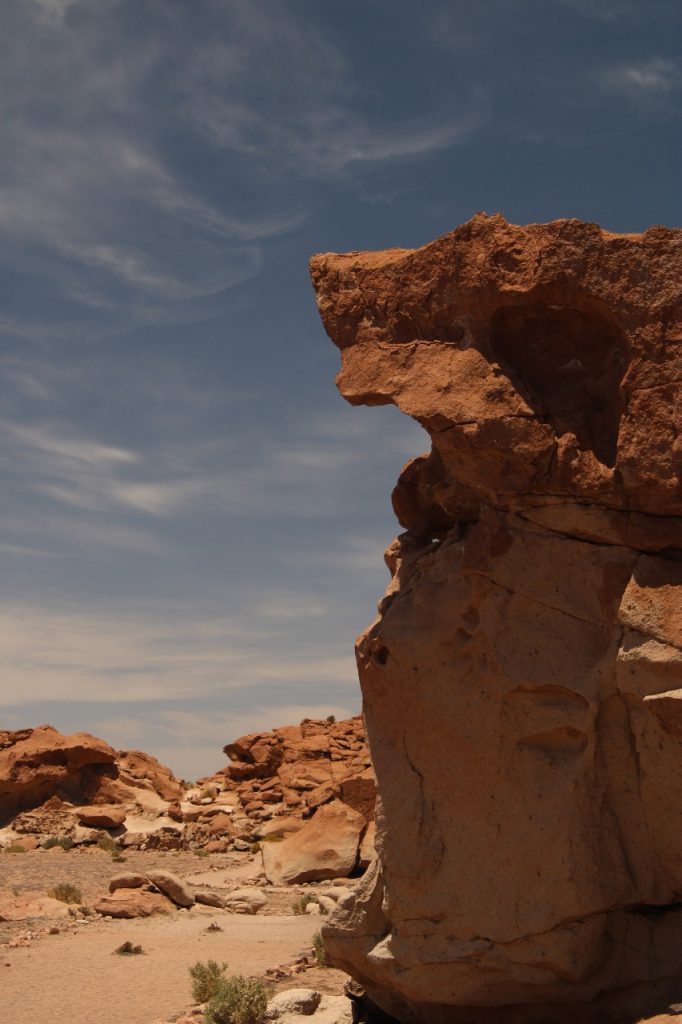 Chile: um roteiro de vinhedos e deserto