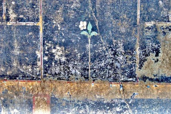 Sítio arqueológico revela pinturas em Pompeia
