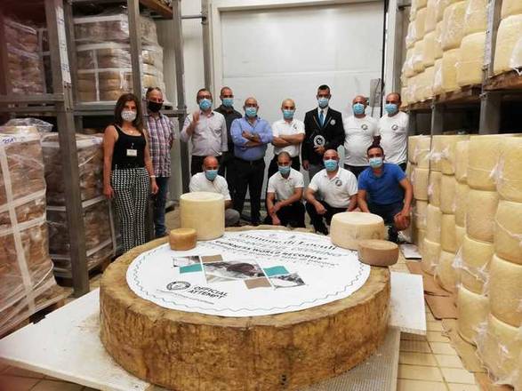 Cidade italiana cria o maior queijo pecorino do mundo