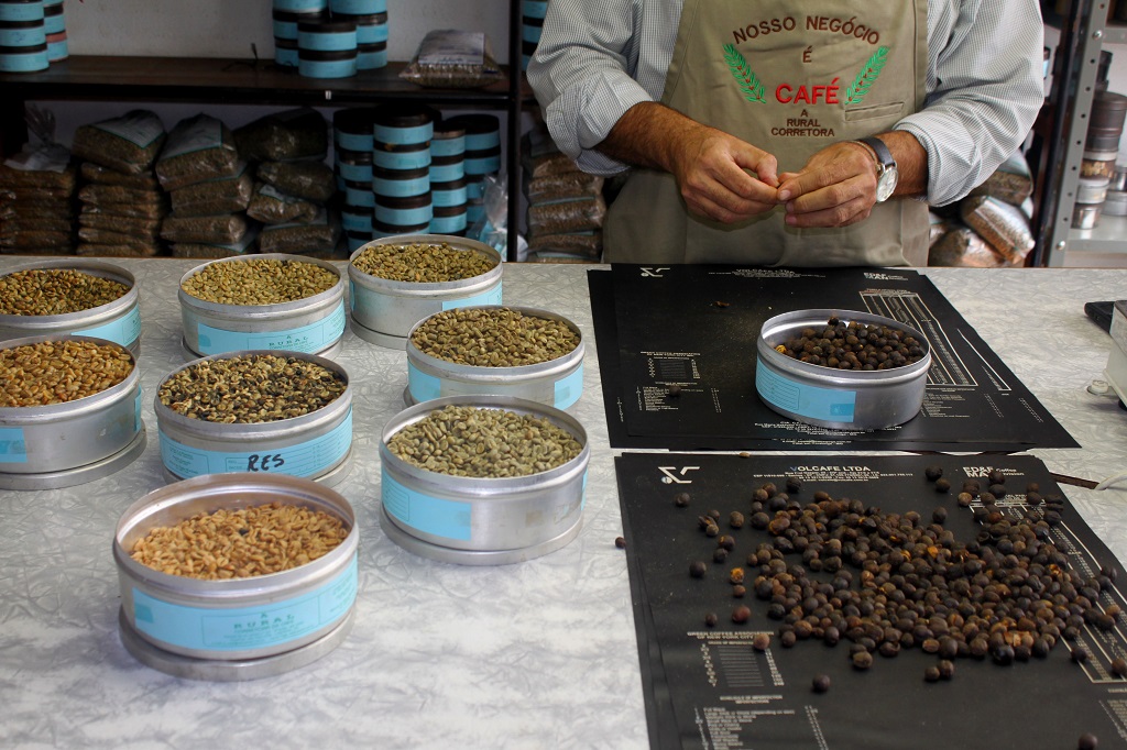 Rota revive o esplendor do café no Norte do Paraná