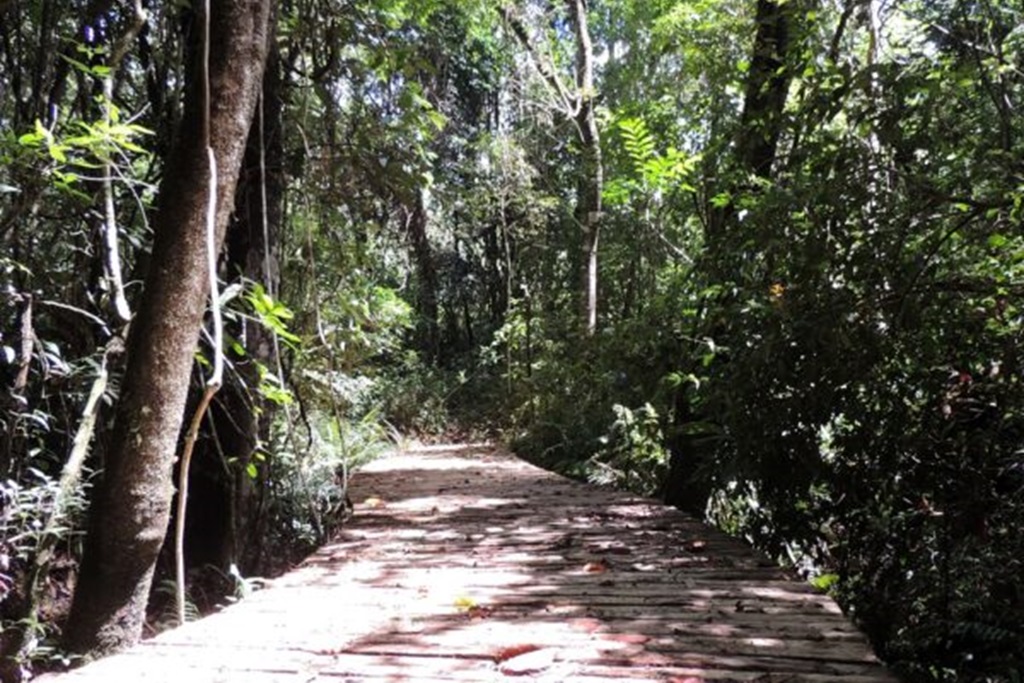 Serra Negra ganha Bioparque com 280 mil m² Serra Negra ganha Bioparque com 280 mil m²