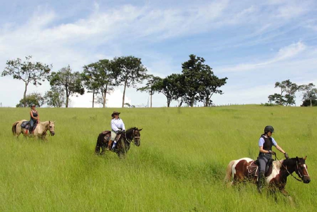 Pantanal-MS: De moto, a cavalo e remando. 