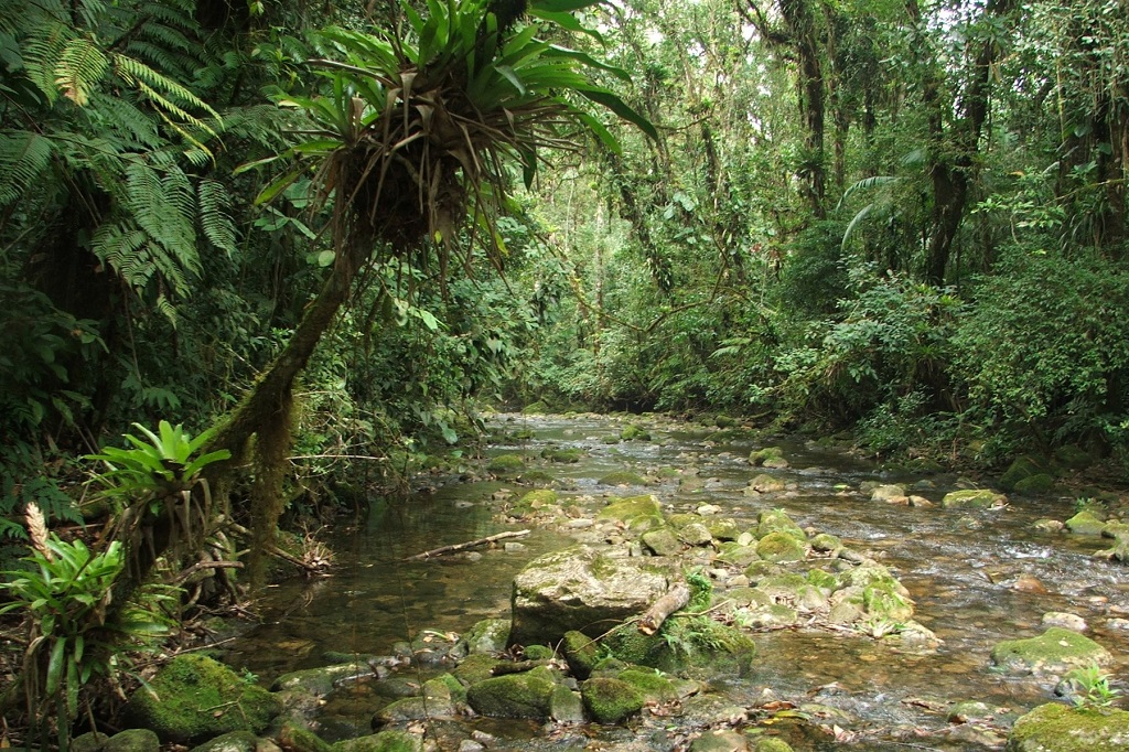 Reserva Natural Salto Morato