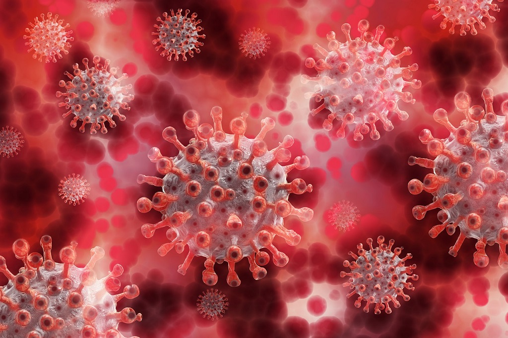 OMS aponta para origem animal do novo coronavírus