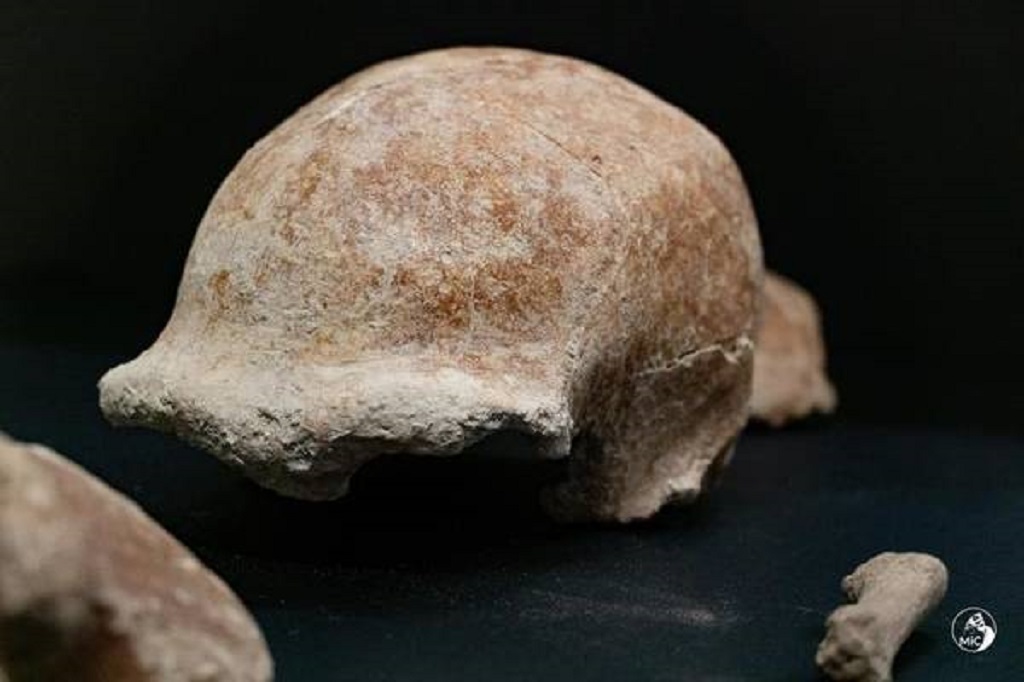 Arqueólogos acham fósseis de 9 neandertais