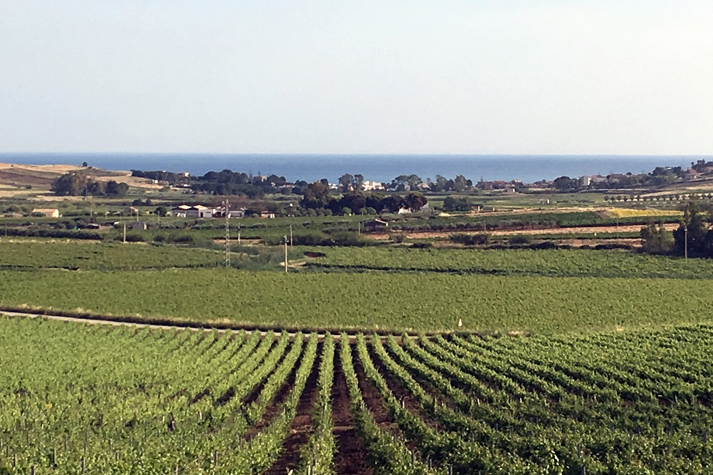 Vinhos sicilianos