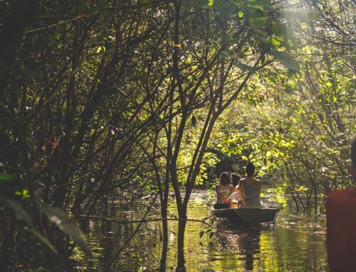 Na Amazônia, turismo de experiência no coração da floresta