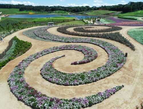 Conheça o Mátria, maior parque de flores das Américas e Europa