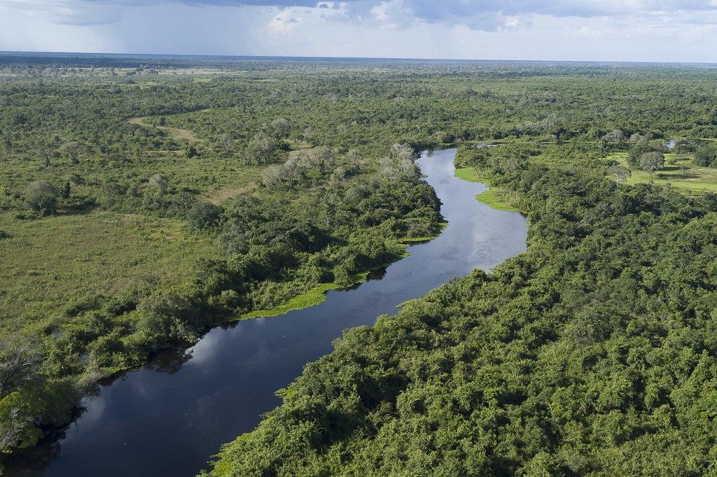 Pantanal, Poconé, Mato Grosso Pantanal, Poconé, Mato Grosso