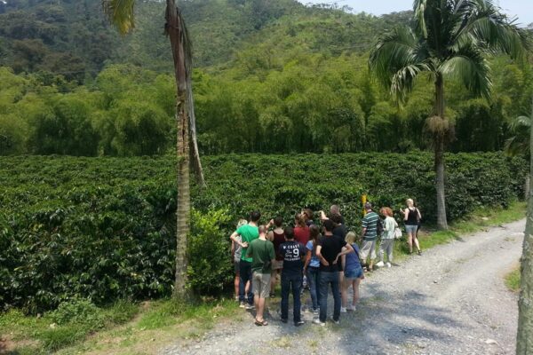 Hacienda Venecia, Colômbia