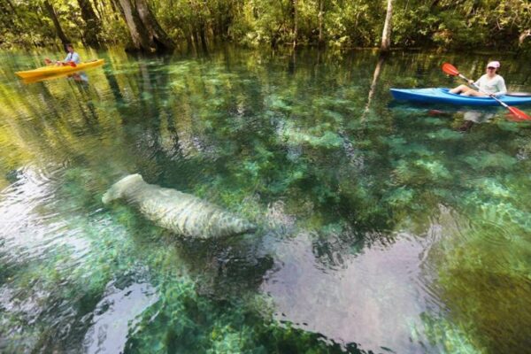 Silver Springs State Park