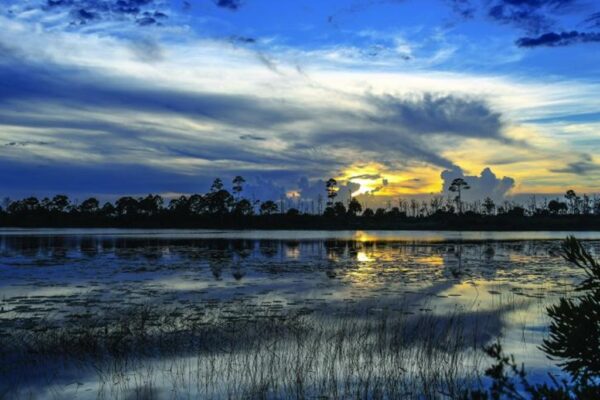 Jonathan Dickinson State Park