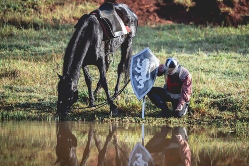 Medieval Combat Brasil Medieval Combat Brasil