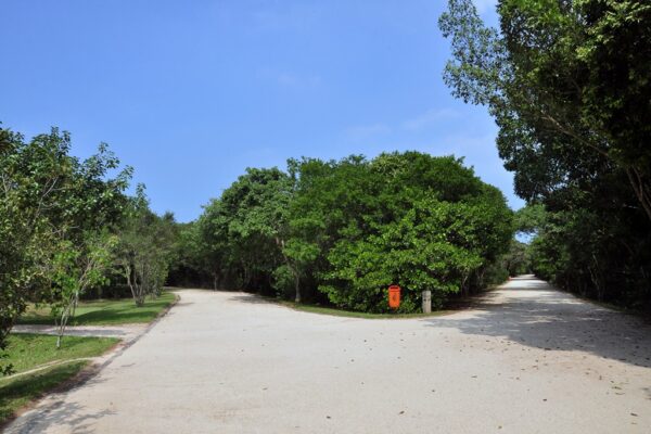 Bosque da Barra, Barra da Tijuca, Rio de Janeiro