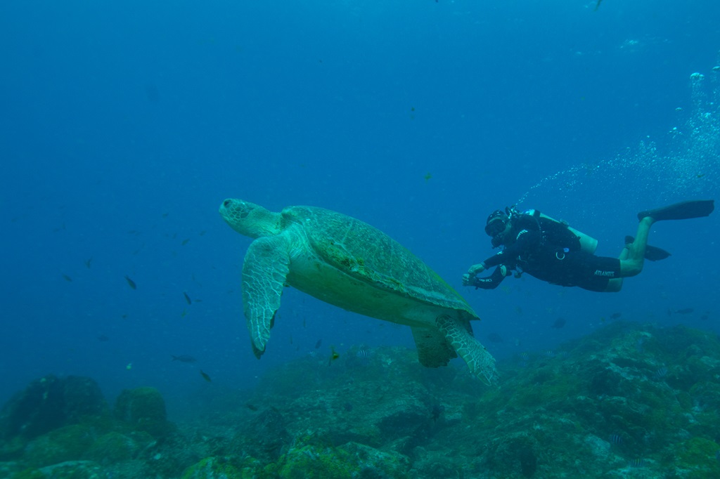 Atlantis Divers, Fernando de Noronha