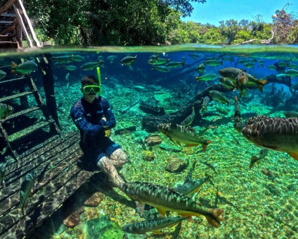 Recanto Ecológico Rio da Prata, Bonito, Mato Grosso do Sul