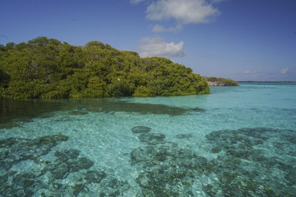 Aldabra, Seychelles