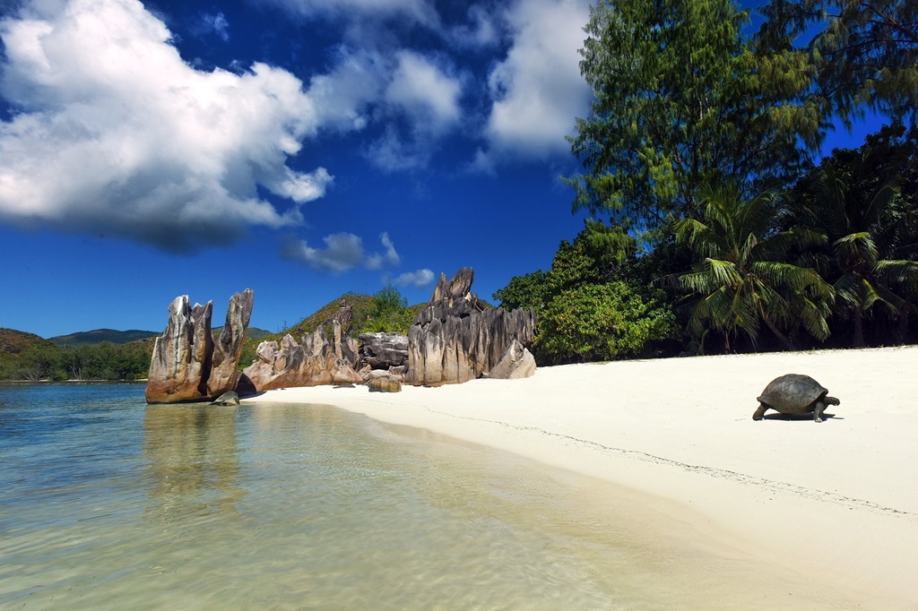 Curieuse Island, Baie La Raie Beach, Seychelles