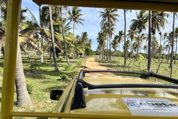 Dunas Douradas, passeio buggy