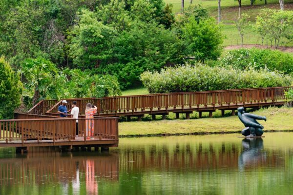 Parque Geminiani Momesso, obra no lago