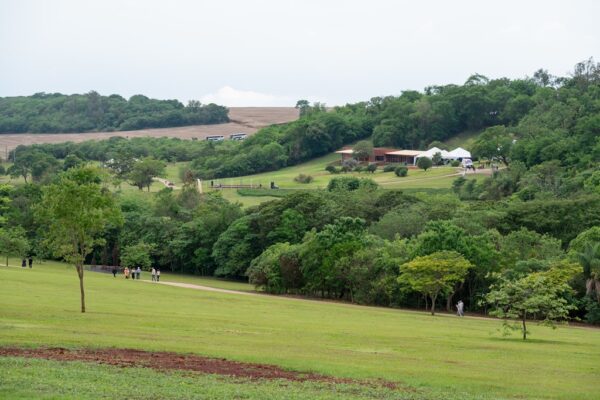 Parque Geminiani Momesso