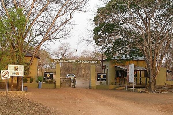 Parque Nacional da Gorongosa, Moçambique