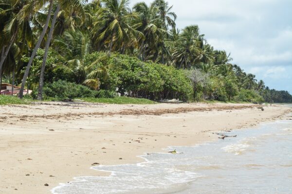 Praia do Patacho, São Miguel dos Milagres, Alagoas