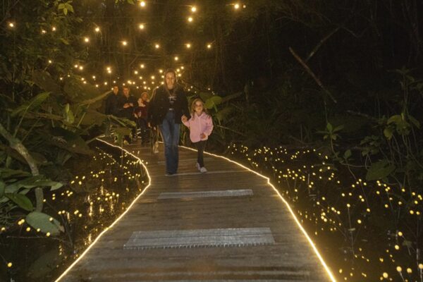 Floresta Encantada Electrolux, no Bosque Zaninelli, Natal de Curitiba - Luz dos Pinhais 2024