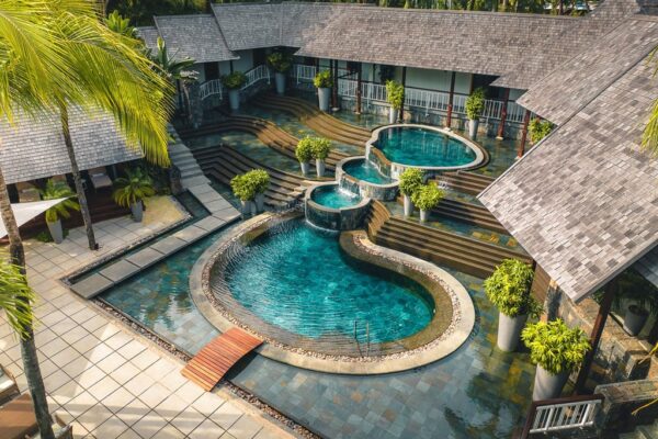 Royal Palm Beachcomber