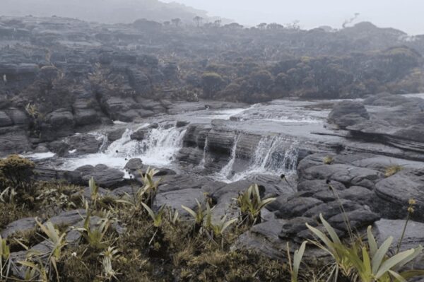 Expedição Monte Roraima