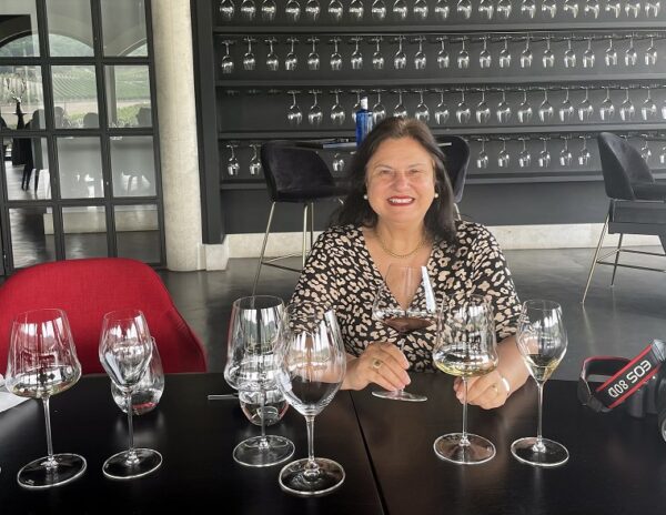 Sala de degustação, Bodega Arzuaga