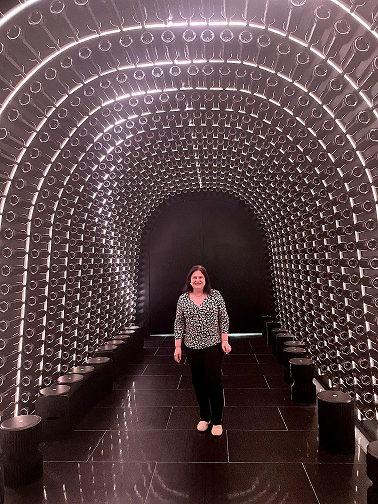 Corredor com garrafas de vinho, Bodega Arzuaga