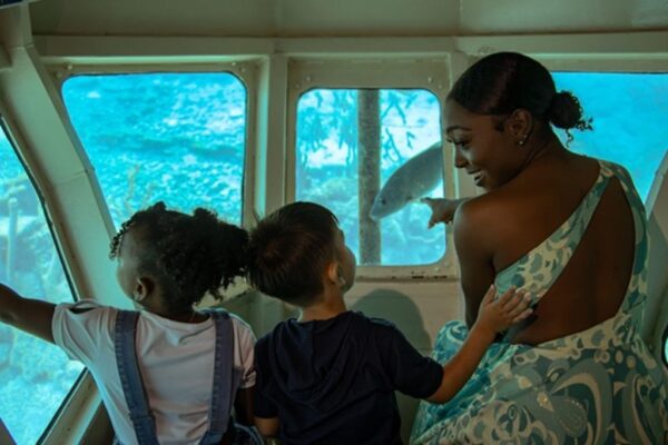 Dolphin Academy, Curaçao