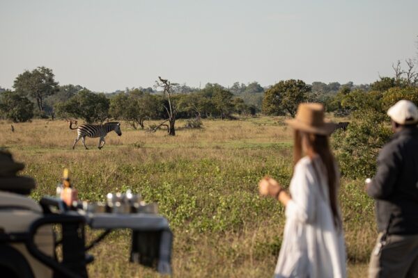 Ulusaba Private Game Reserve
