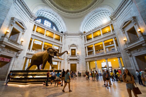 Natural History Museum, Washington