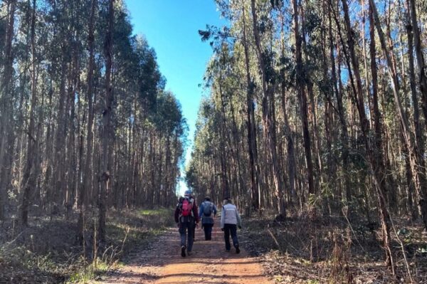 Rota Vicentina, Alentejo