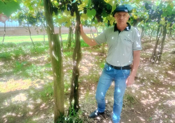 Adilson Sandi, Vinícola Di Sandi