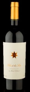 Argentino tinto Clos de Los Siete 2021