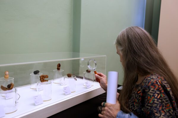 Exposição Netsuke Contemporâneo