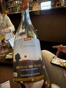 Laranja Brumas do Tempo 2023