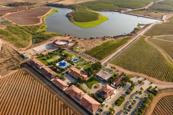Alentejo Vineyards Aerea