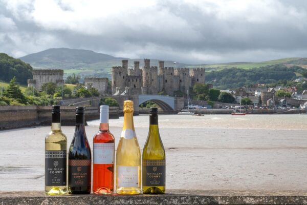 Gwinllan Conwy