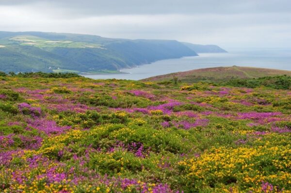Parque Nacional de Exmoor, Inglaterra, Reino Unido