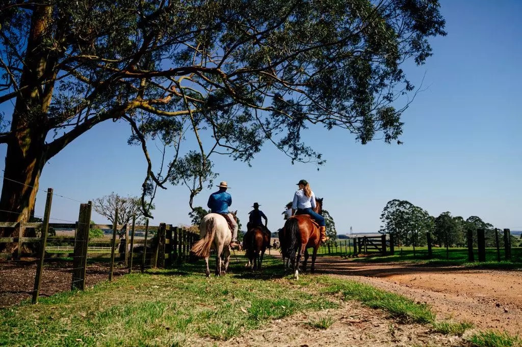 Cabanha São Rafael, São Luiz do Purunã, Paraná Cabanha São Rafael, São Luiz do Purunã, Paraná