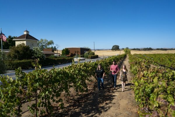 Fäsi Estate Winery, Califórnia, Estados Unidos