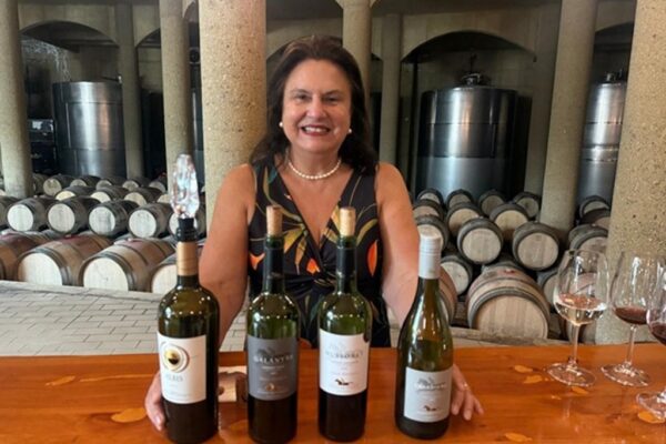 Viña Haras de Pirque 