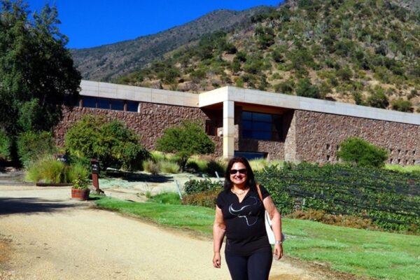 Bete Yang, Viña San Pedro 