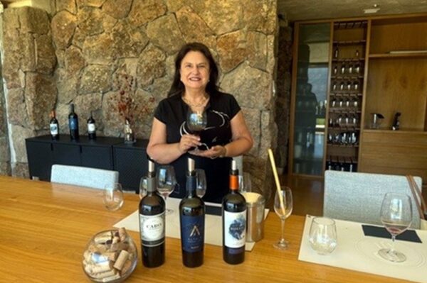 Bete Yang, Viña San Pedro 