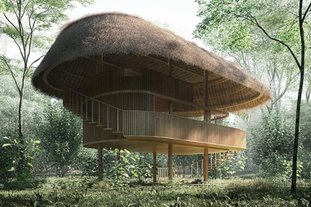 EcoAraguaia Jungle Lodge